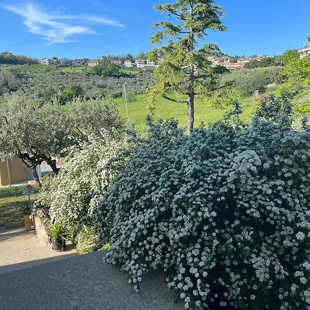 Casa 365 Oro